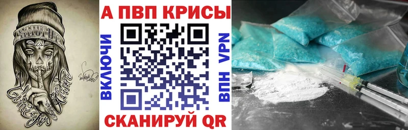 как найти закладки Олонец А ПВП СК