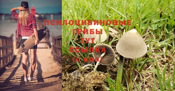 экстази Армянск