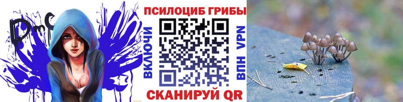 Псилоцибиновые грибы Magic Shrooms  Олонец 