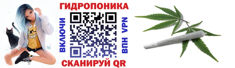 OMG рабочий сайт  купить  цена  Олонец  Шишки марихуана THC 21% 